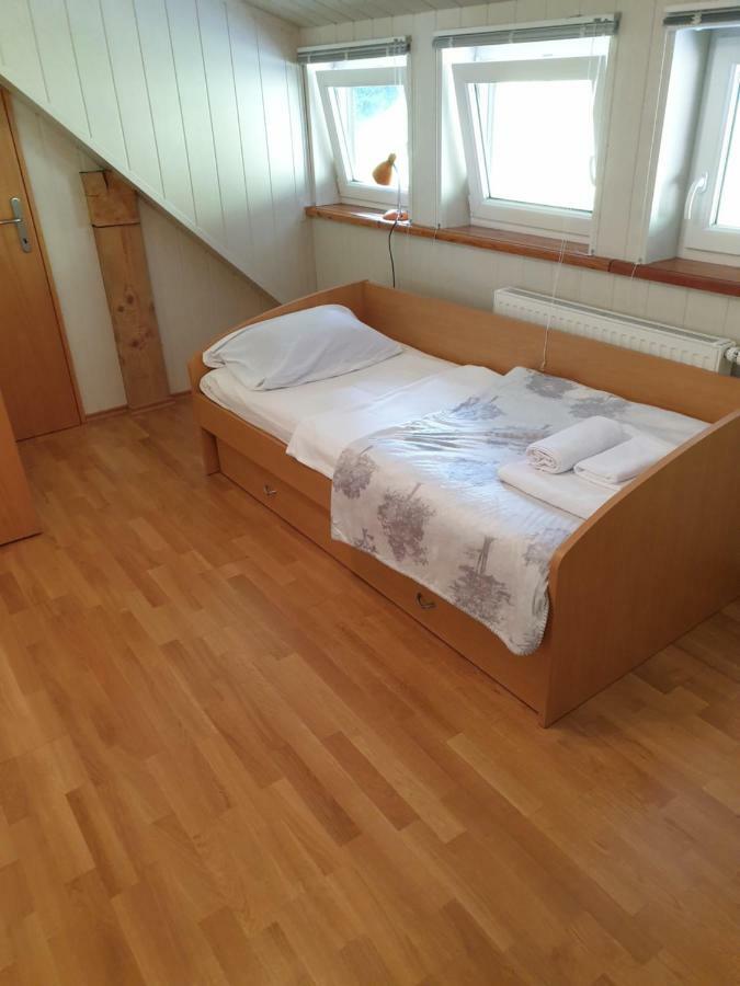 Apartman Irvin Краньска Гора Экстерьер фото
