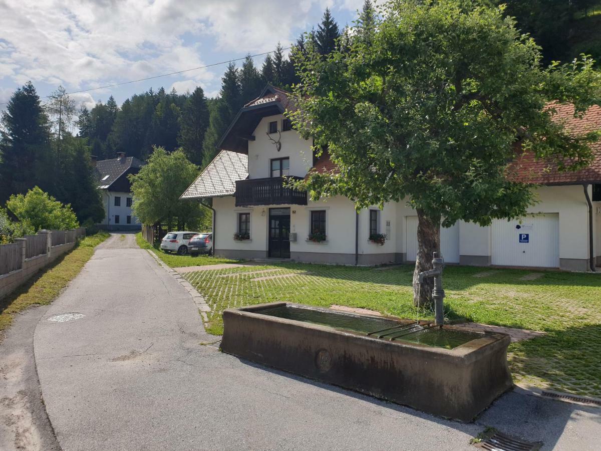 Apartman Irvin Краньска Гора Экстерьер фото